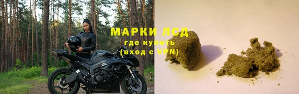 стаф Нефтекумск