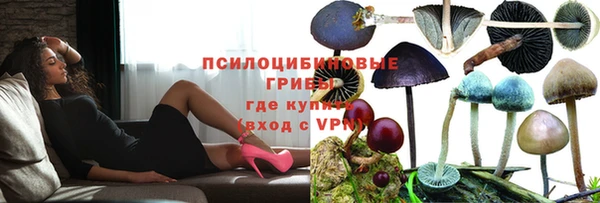 стаф Нефтекумск