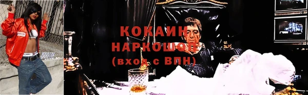 ГАЛЛЮЦИНОГЕННЫЕ ГРИБЫ Нея