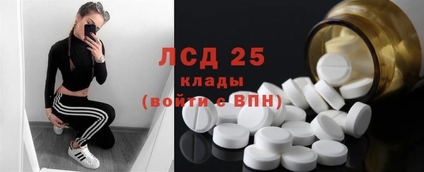 ГАЛЛЮЦИНОГЕННЫЕ ГРИБЫ Нея
