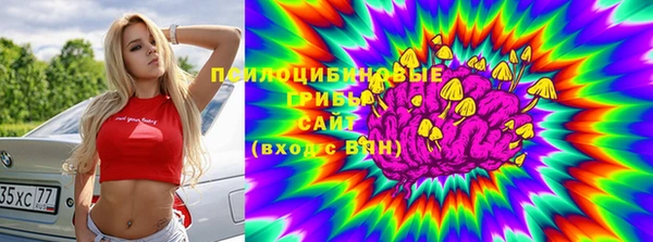 ГАЛЛЮЦИНОГЕННЫЕ ГРИБЫ Нея