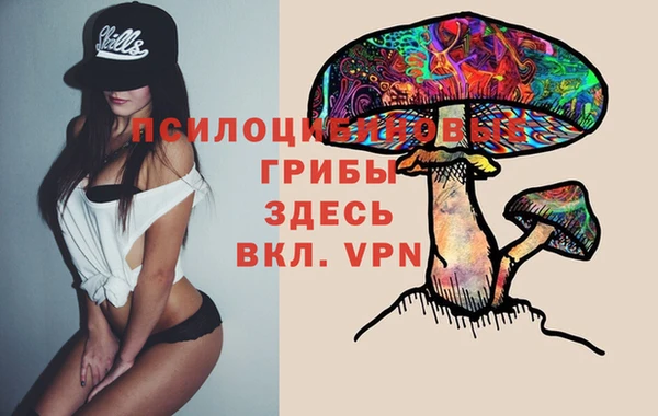 ГАЛЛЮЦИНОГЕННЫЕ ГРИБЫ Нея