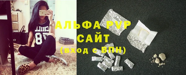 стаф Нефтегорск
