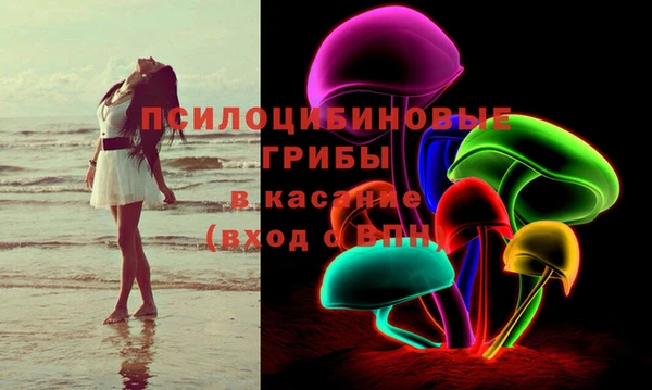 стаф Нефтекумск