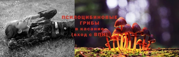 стаф Нефтегорск